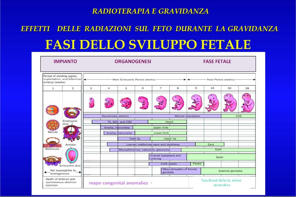 DELLE RADIAZIONI SUL