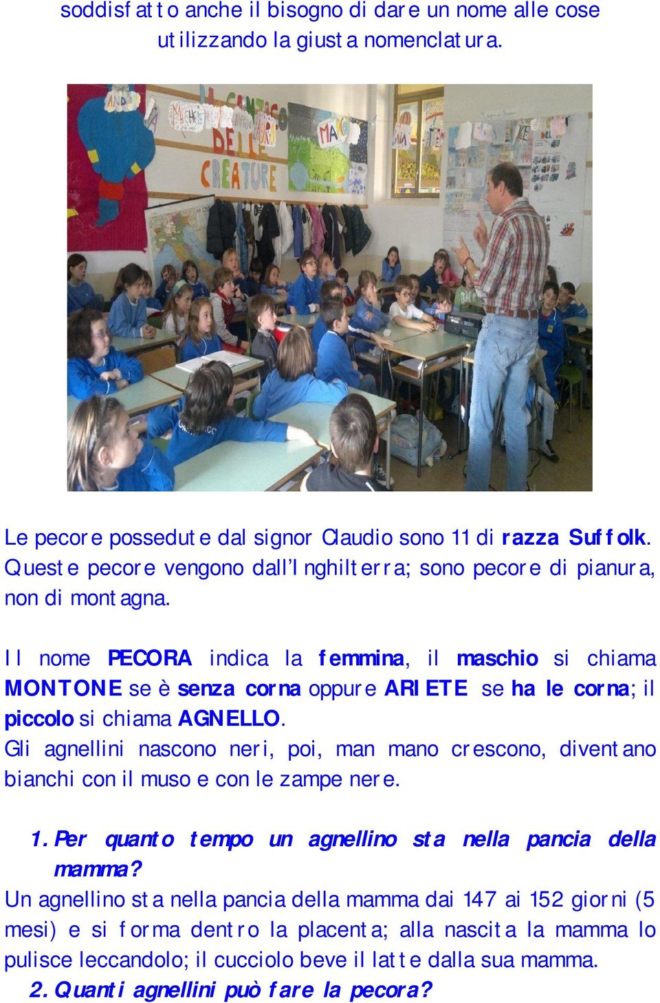 Il nome PECORA indica la femmina, il maschio si chiama MONTONE se è senza corna oppure ARIETE se ha le corna; il piccolo si chiama AGNELLO.