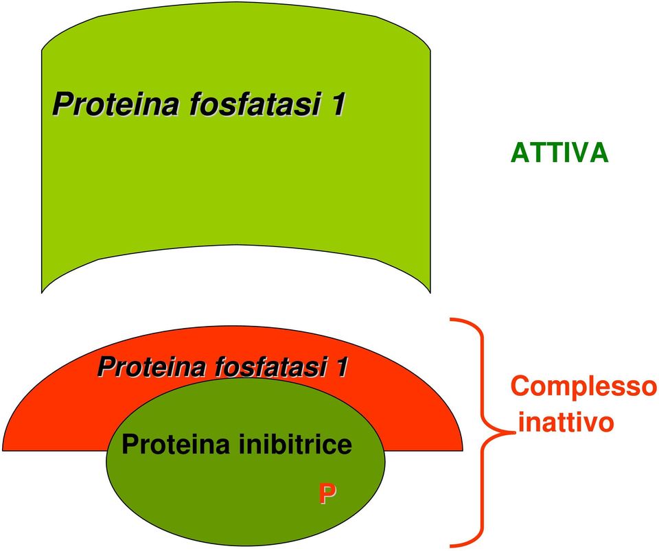 inibitrice P Complesso