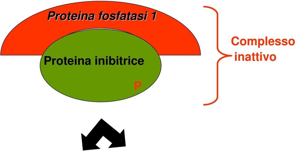 Complesso inattivo P