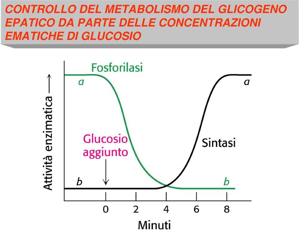 GLICOGENO EPATICO DA