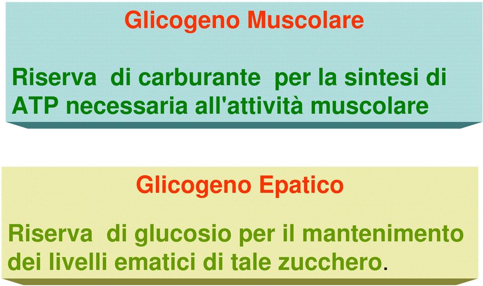 Glicogeno Epatico Riserva di glucosio per il