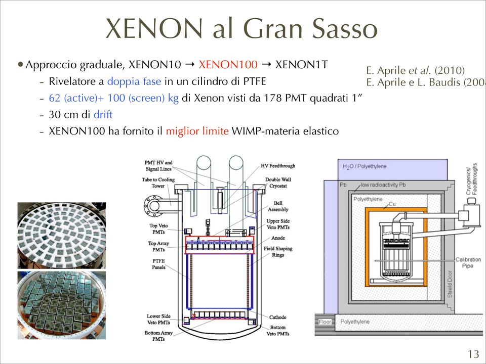 visti da 178 PMT quadrati 1-30 cm di drift - XENON100 ha fornito il miglior