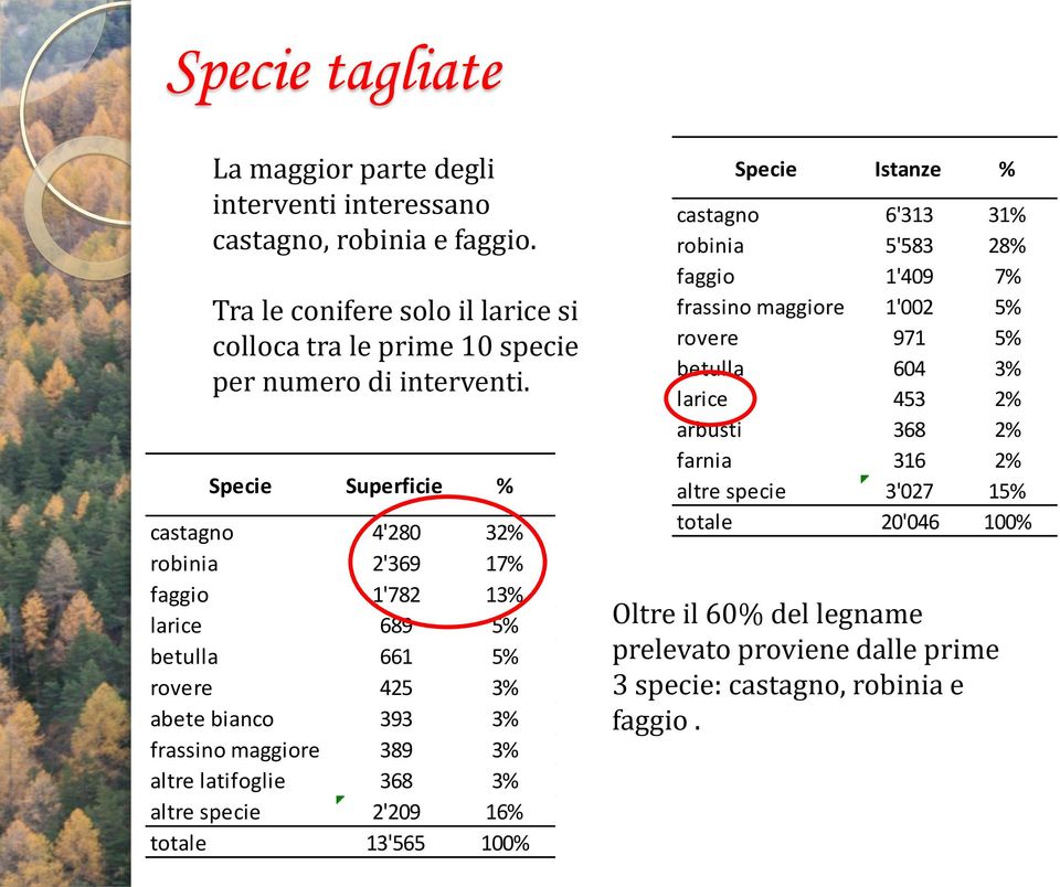 Specie Superficie % castagno 4'280 32% robinia 2'369 17% faggio 1'782 13% larice 689 5% betulla 661 5% rovere 425 3% abete bianco 393 3% frassino maggiore 389 3% altre latifoglie