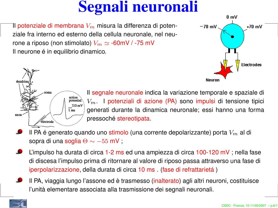 I potenziali di azione (PA) sono impulsi di tensione tipici generati durante la dinamica neuronale; essi hanno una forma pressoché stereotipata.