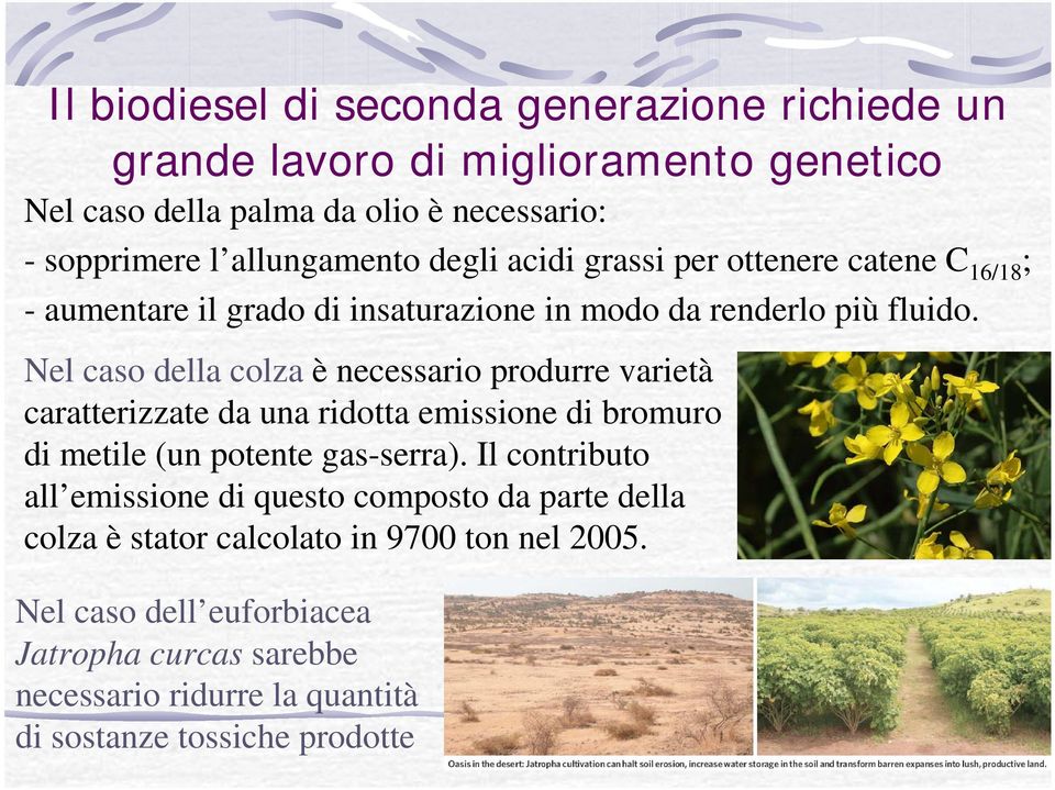 Nel caso della colza è necessario produrre varietà caratterizzate da una ridotta emissione di bromuro di metile (un potente gas-serra).