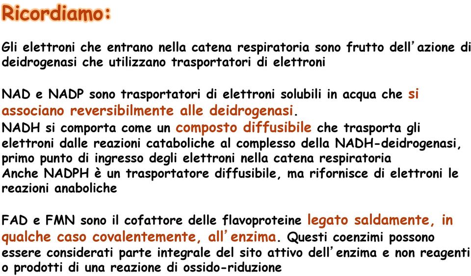 NADH si comporta come un composto diffusibile che trasporta gli elettroni dalle reazioni cataboliche al complesso della NADH-deidrogenasi, primo punto di ingresso degli elettroni nella catena