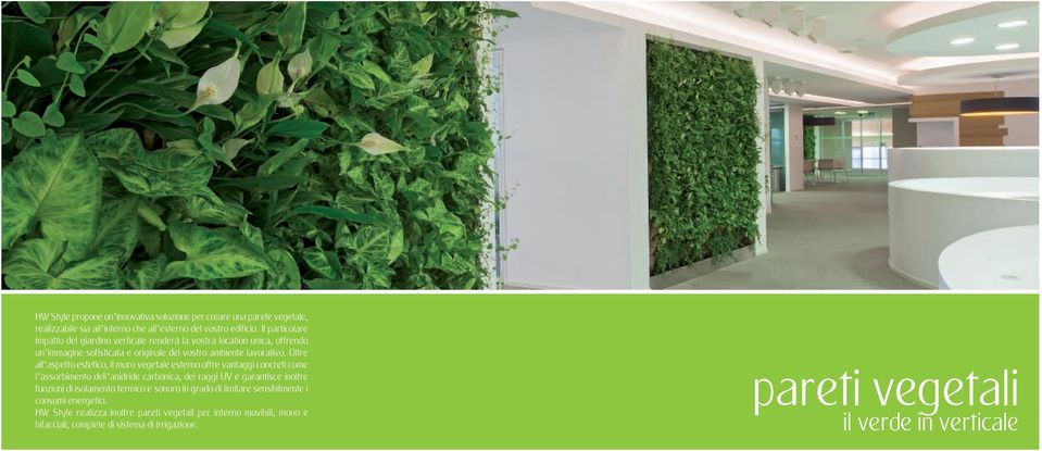 Oltre all aspetto estetico, il muro vegetale esterno offre vantaggi concreti come l assorbimento dell anidride carbonica, dei raggi UV e garantisce inoltre funzioni di