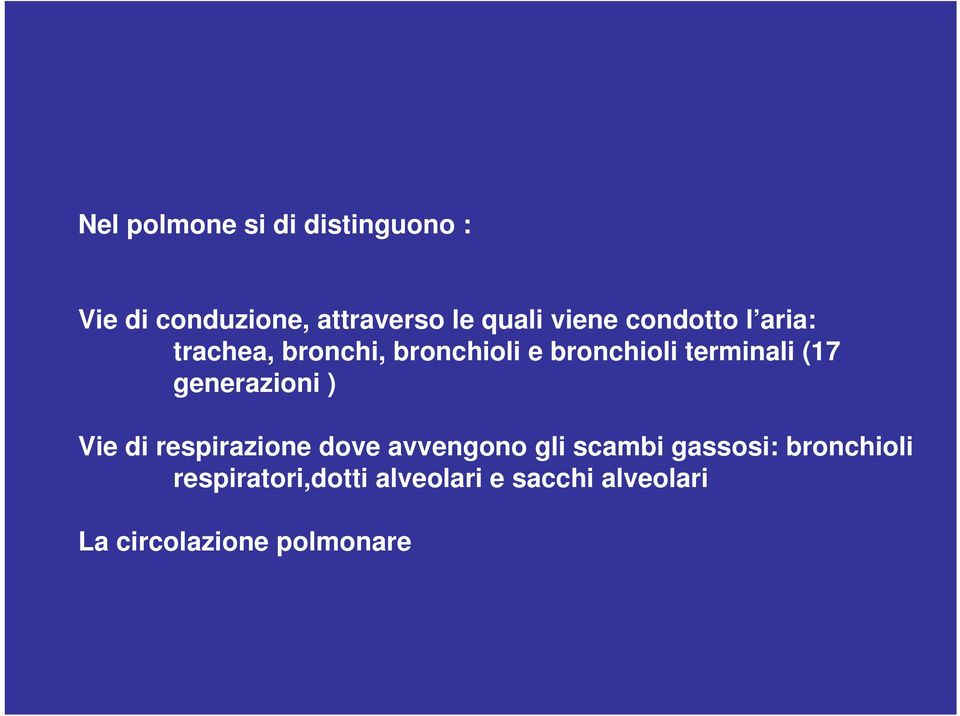 (17 generazioni ) Vie di respirazione dove avvengono gli scambi gassosi: