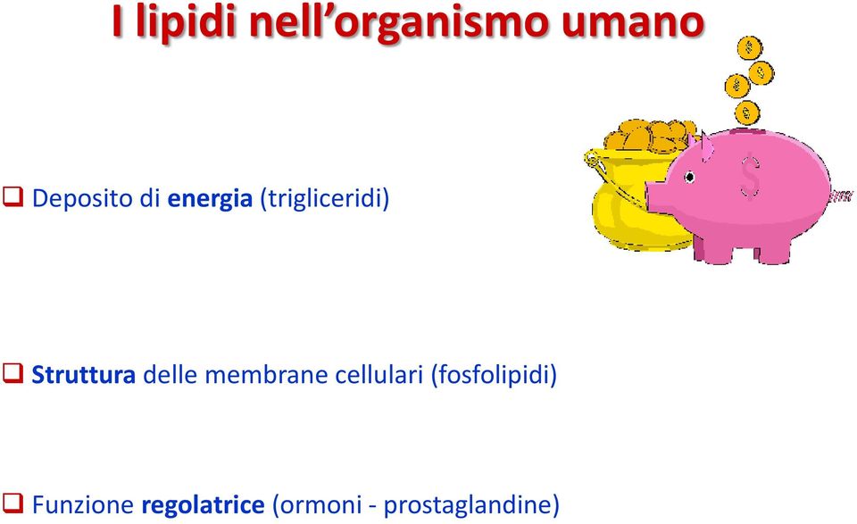 delle membrane cellulari (fosfolipidi)