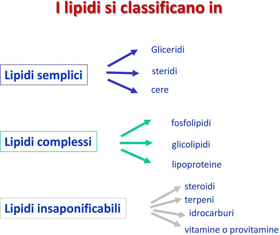 fosfolipidi glicolipidi lipoproteine Lipidi