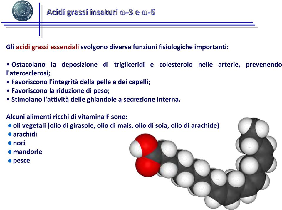 dei capelli; Favoriscono la riduzione di peso; Stimolano l'attività delle ghiandole a secrezione interna.