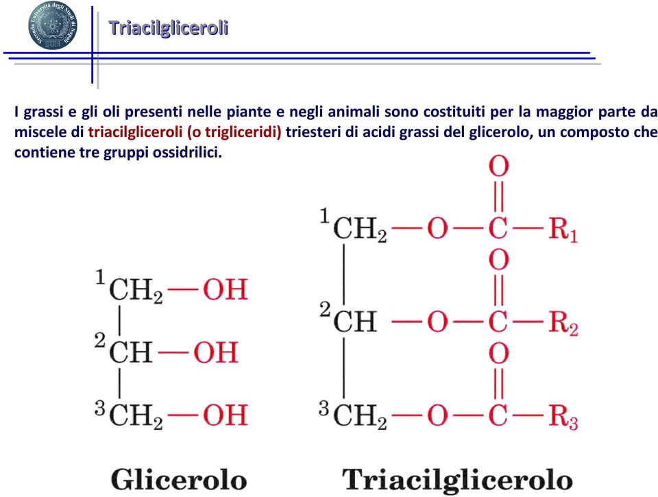 di triacilgliceroli (o trigliceridi) triesteri di acidi