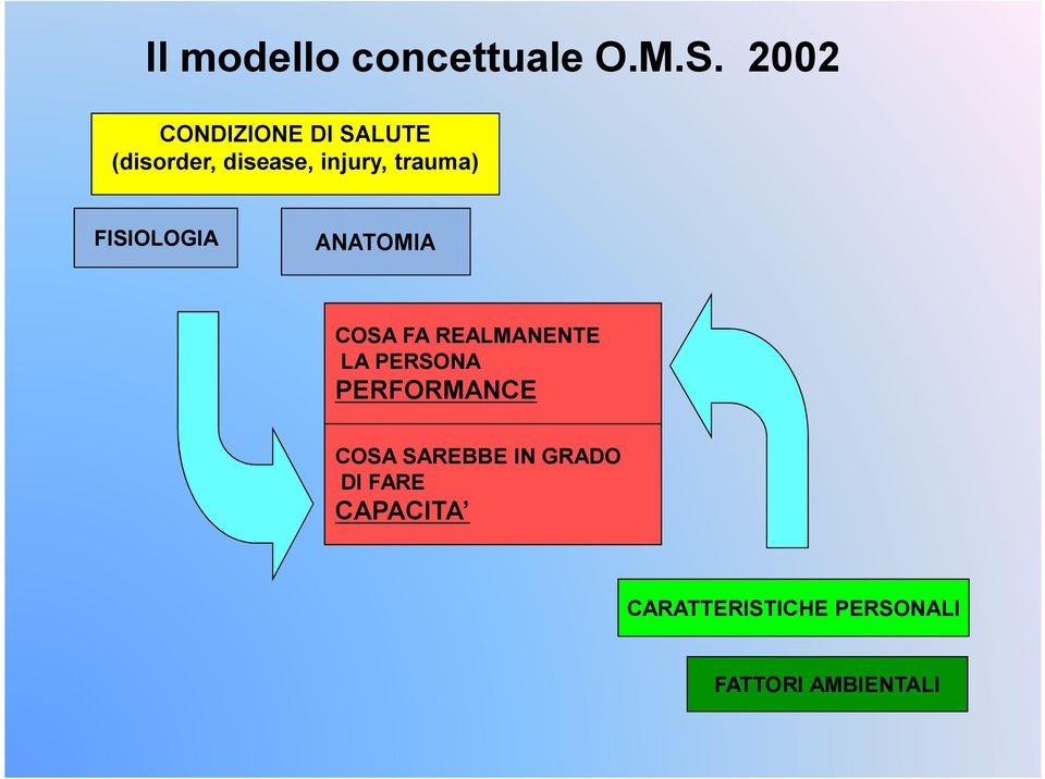 trauma) FISIOLOGIA ANATOMIA COSA FA REALMANENTE LA PERSONA