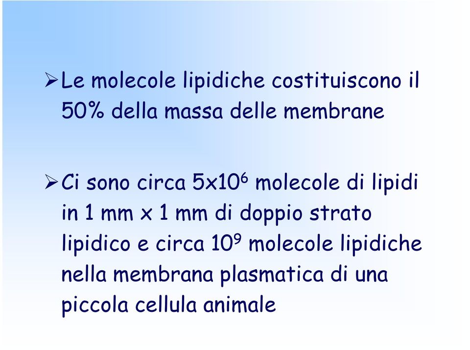 mm x 1 mm di doppio strato lipidico e circa 10 9 molecole