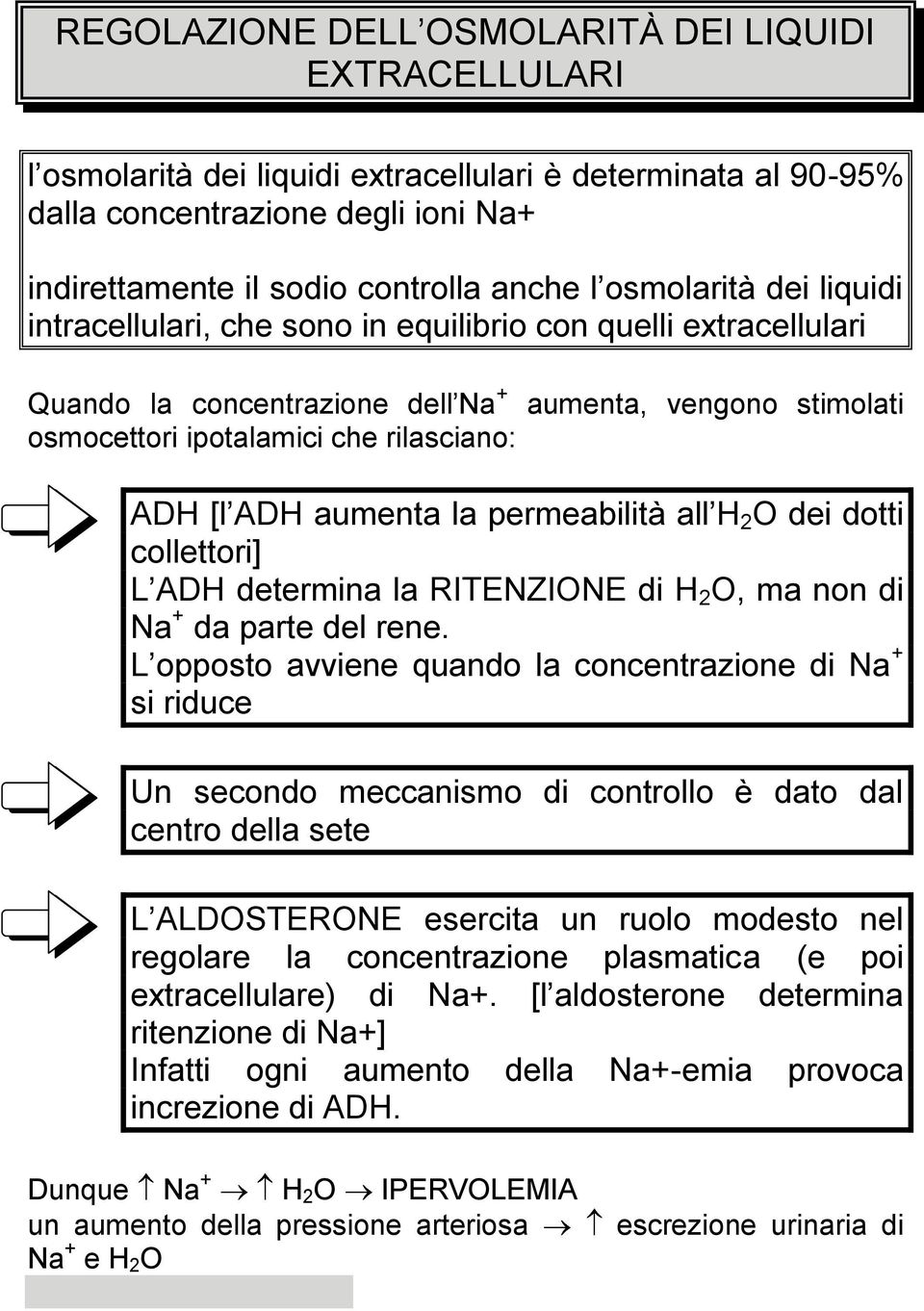 ADH aumenta la permeabilità all H 2 O dei dotti collettori] L ADH determina la RITENZIONE di H 2 O, ma non di Na + da parte del rene.