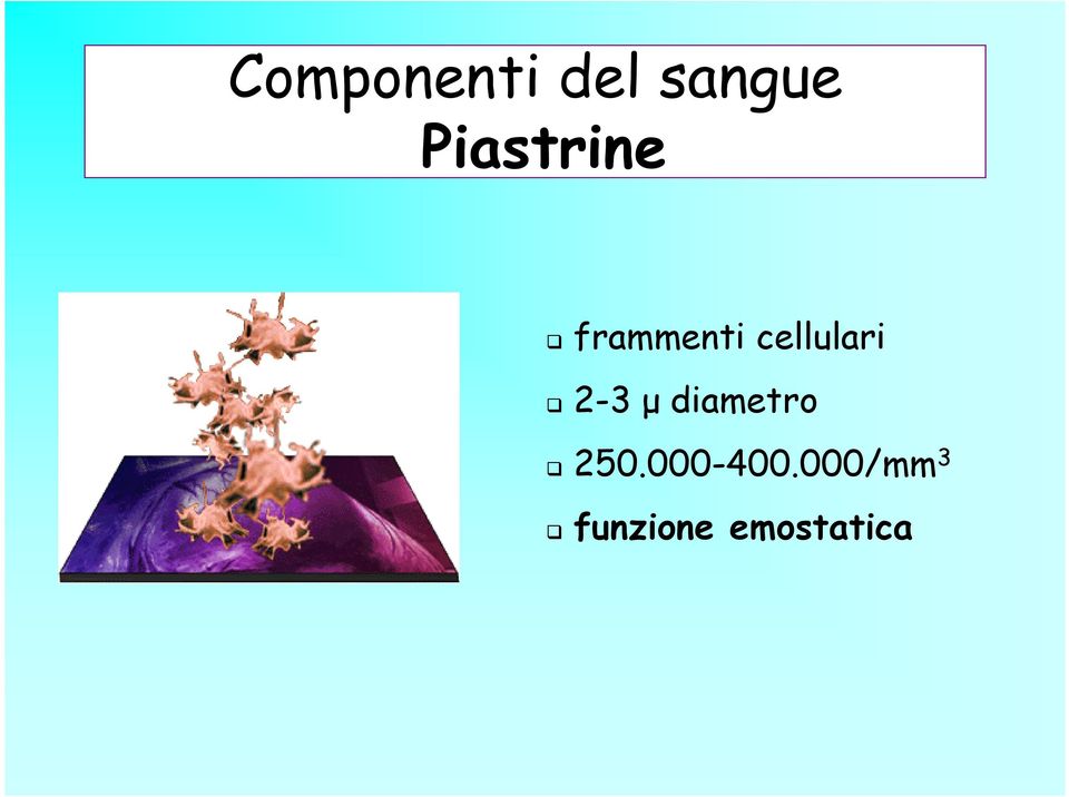 cellulari 2-3 µ diametro