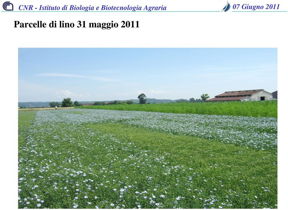 31 maggio