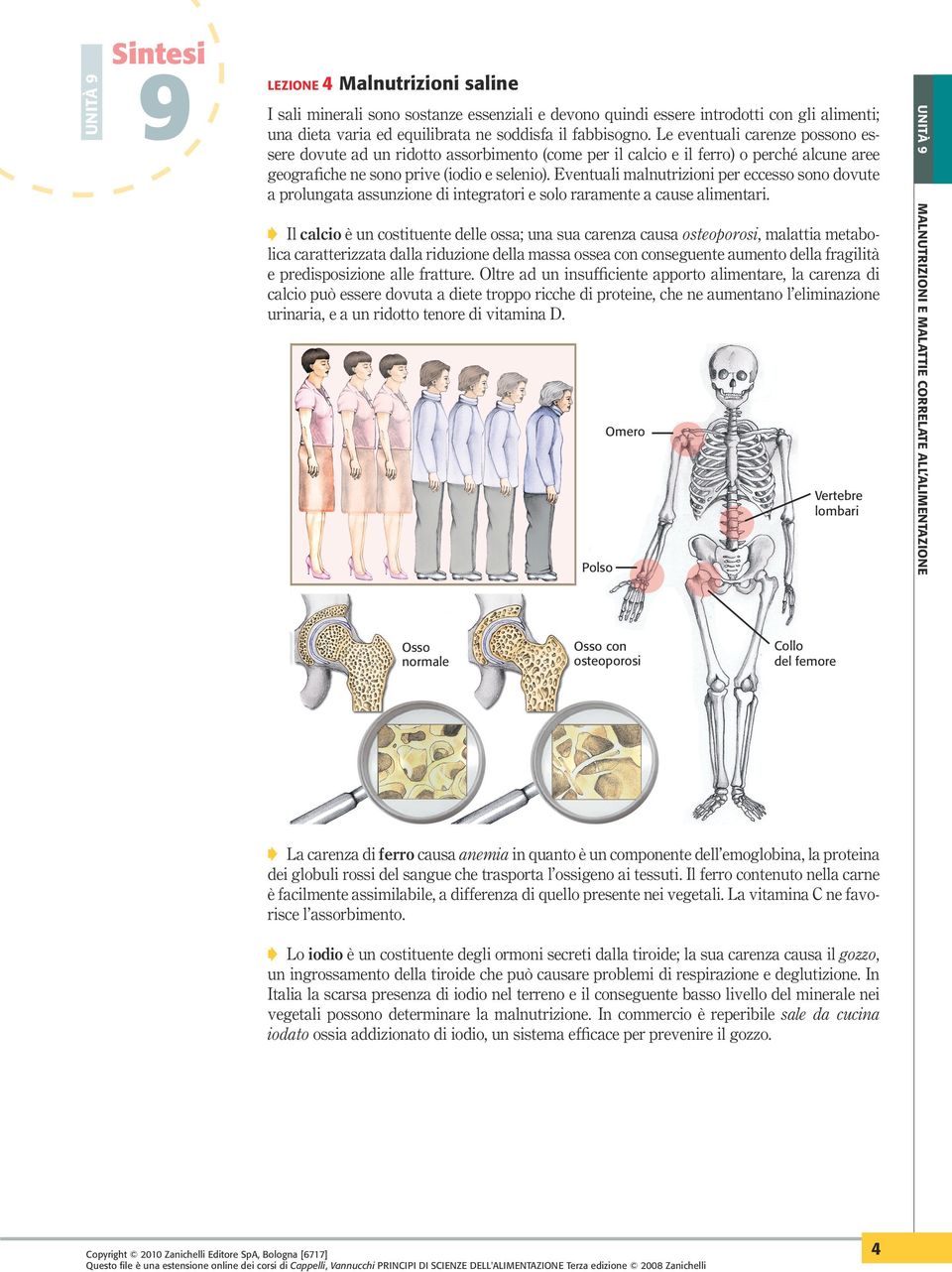 Eventuali malnutrizioni per eccesso sono dovute a prolungata assunzione di integratori e solo raramente a cause alimentari.