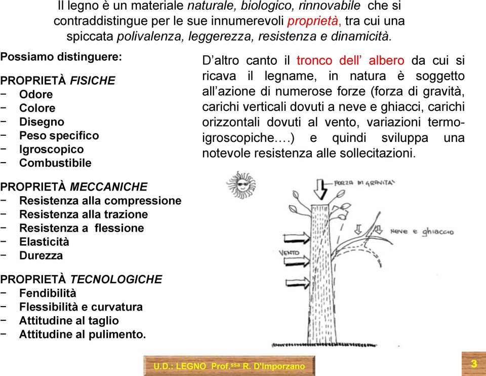 Elasticità Durezza PROPRIETÀ TECNOLOGICHE Fendibilità Flessibilità e curvatura Attitudine al taglio Attitudine al pulimento.