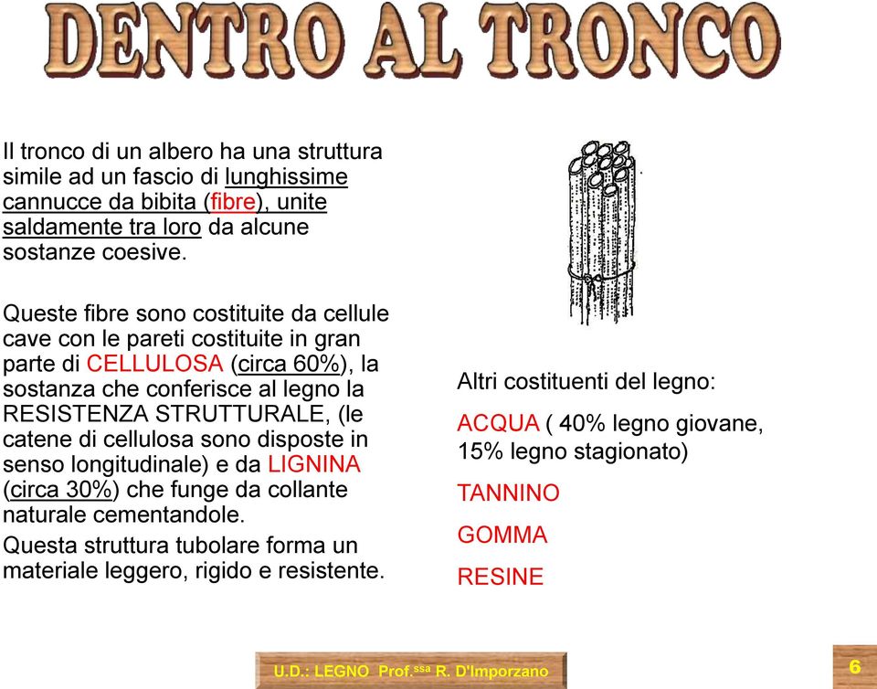 STRUTTURALE, (le catene di cellulosa sono disposte in senso longitudinale) e da LIGNINA (circa 30%) che funge da collante naturale cementandole.