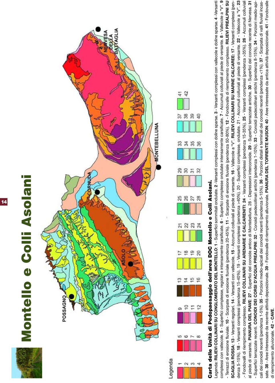 6 - Superfici complesse ondulate intensamente carsificate. 7 - Accumuli colluviali al piede di versante. 8 - Vallecole a V. 9 - Terrazzi di erosione fluviale.
