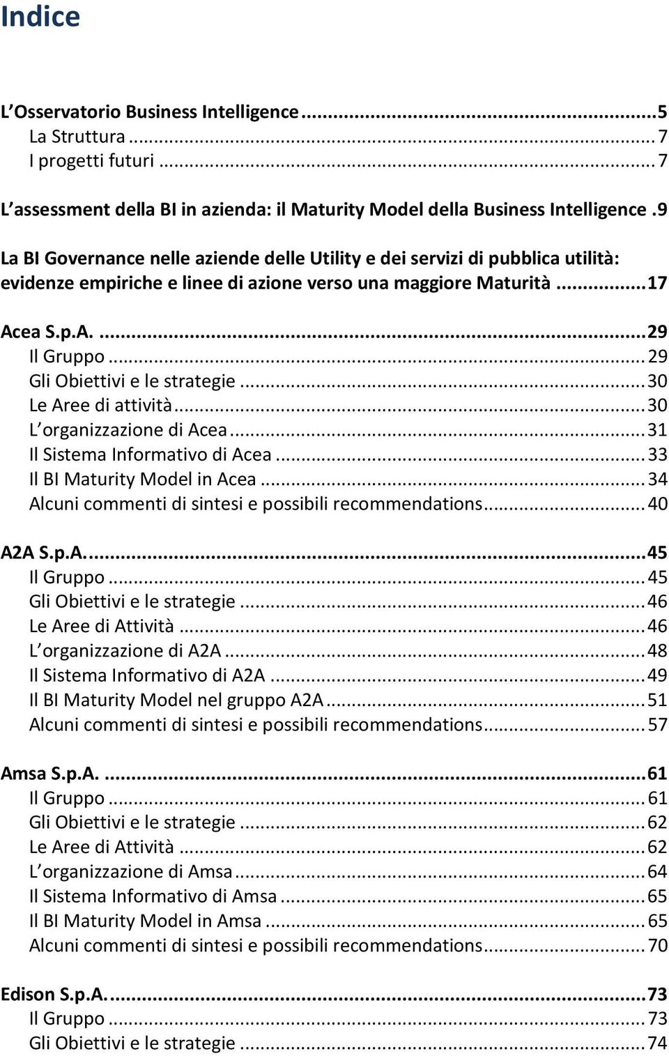 .. 29 Gli Obiettivi e le strategie... 30 Le Aree di attività... 30 L organizzazione di Acea... 31 Il Sistema Informativo di Acea... 33 Il BI Maturity Model in Acea.