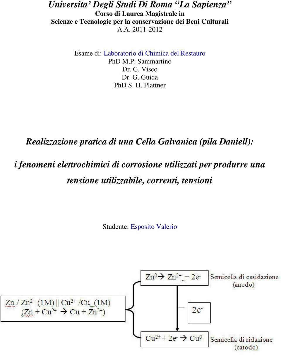 Visco Dr. G. Guida PhD S. H.