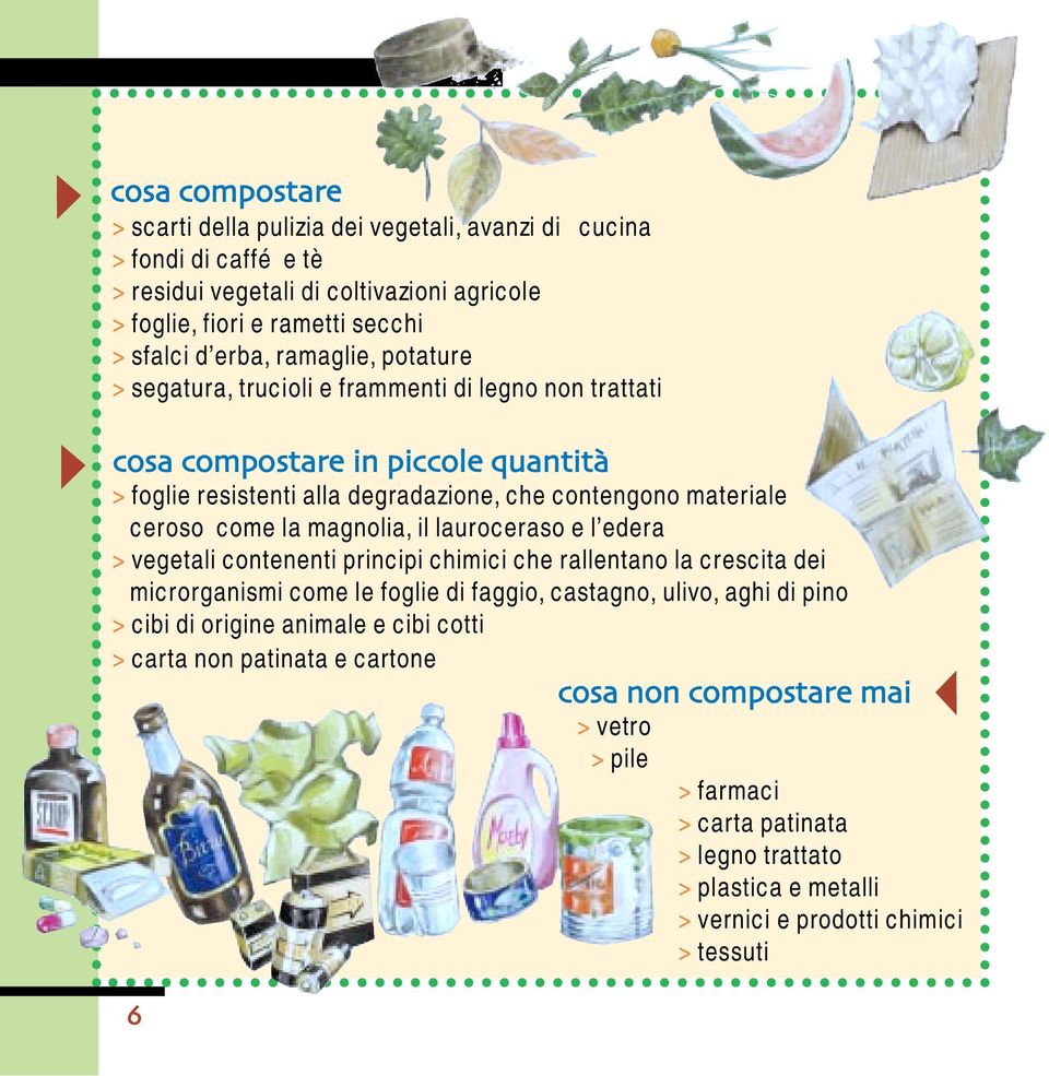 magnolia, il lauroceraso e l edera > vegetali contenenti principi chimici che rallentano la crescita dei microrganismi come le foglie di faggio, castagno, ulivo, aghi di pino > cibi di