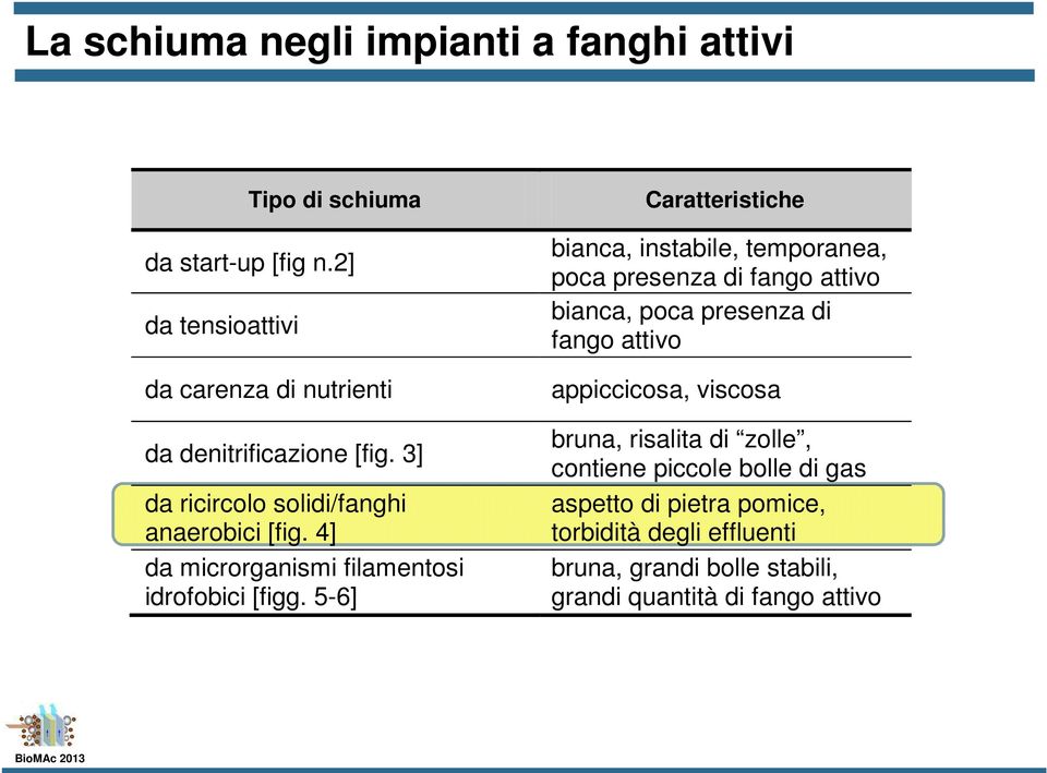 4] da microrganismi filamentosi idrofobici [figg.