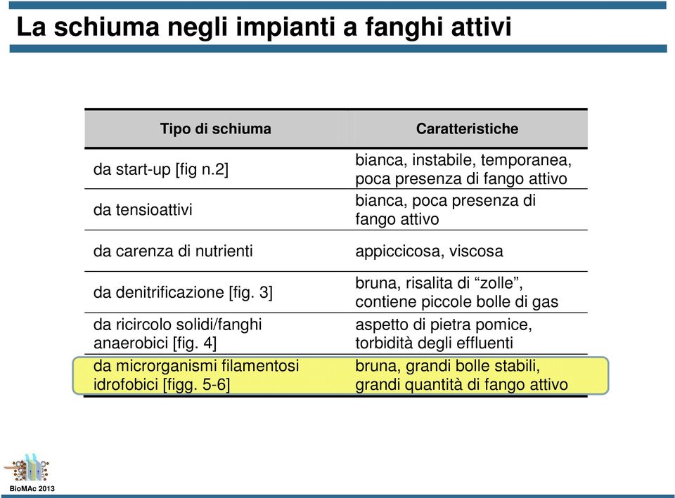 4] da microrganismi filamentosi idrofobici [figg.