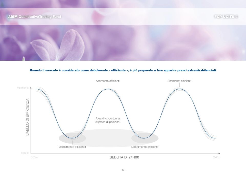 efficienti Importante Livello di efficienza Area di opportunità di presa di