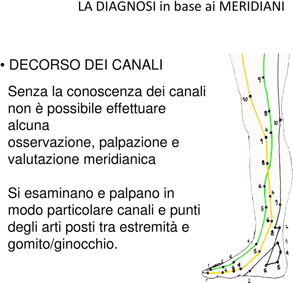 osservazione, palpazione e valutazione meridianica Si esaminano e