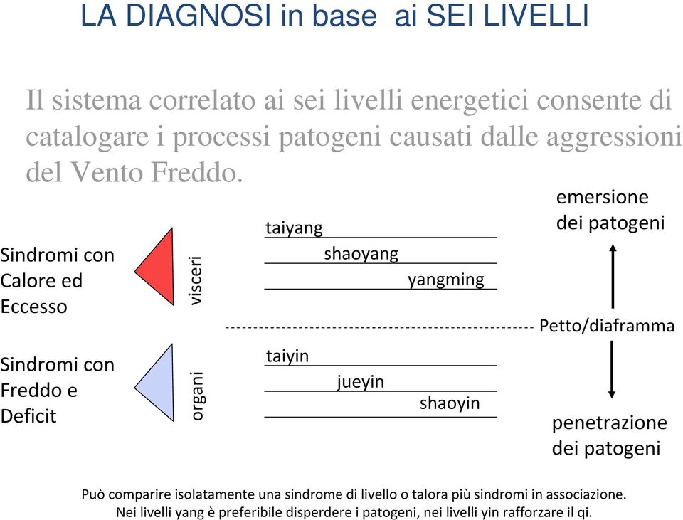 Sindromi con Calore ed Eccesso Sindromi con Freddo e Deficit organi visceri taiyang shaoyang taiyin jueyin yangming shaoyin emersione