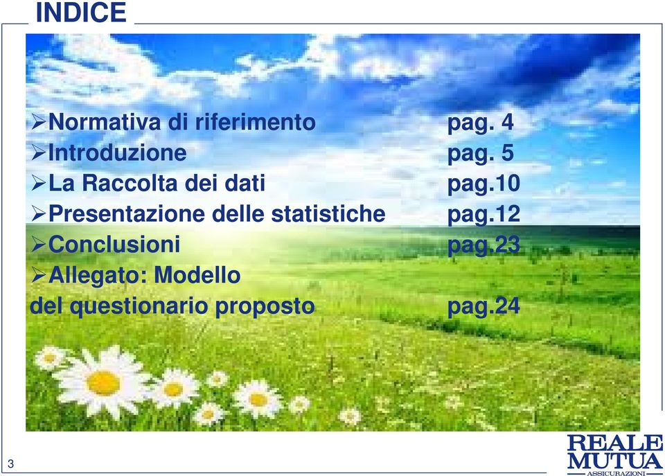 10 Presentazione delle statistiche pag.