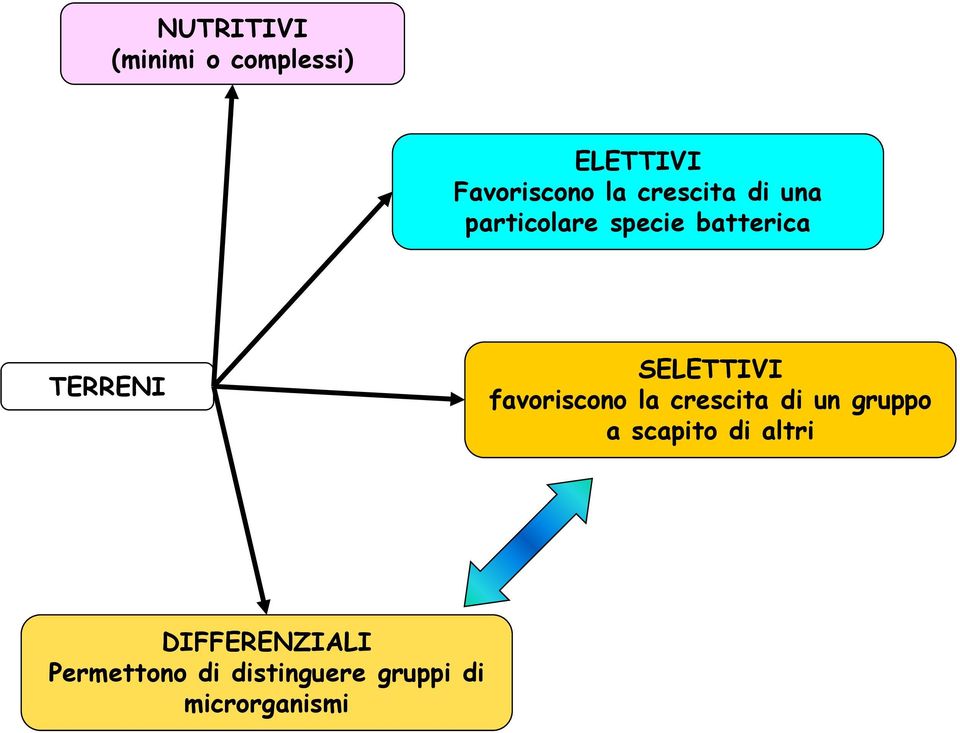 SELETTIVI favoriscono la crescita di un gruppo a scapito di