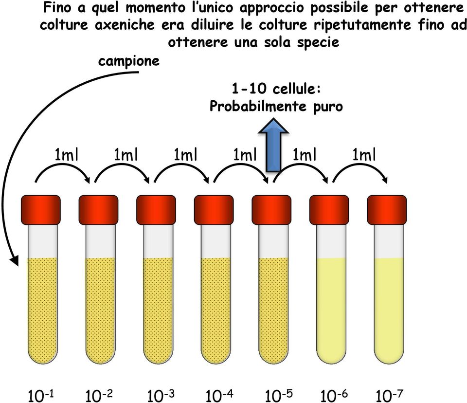 ottenere una sola specie campione 1-10 cellule: Probabilmente