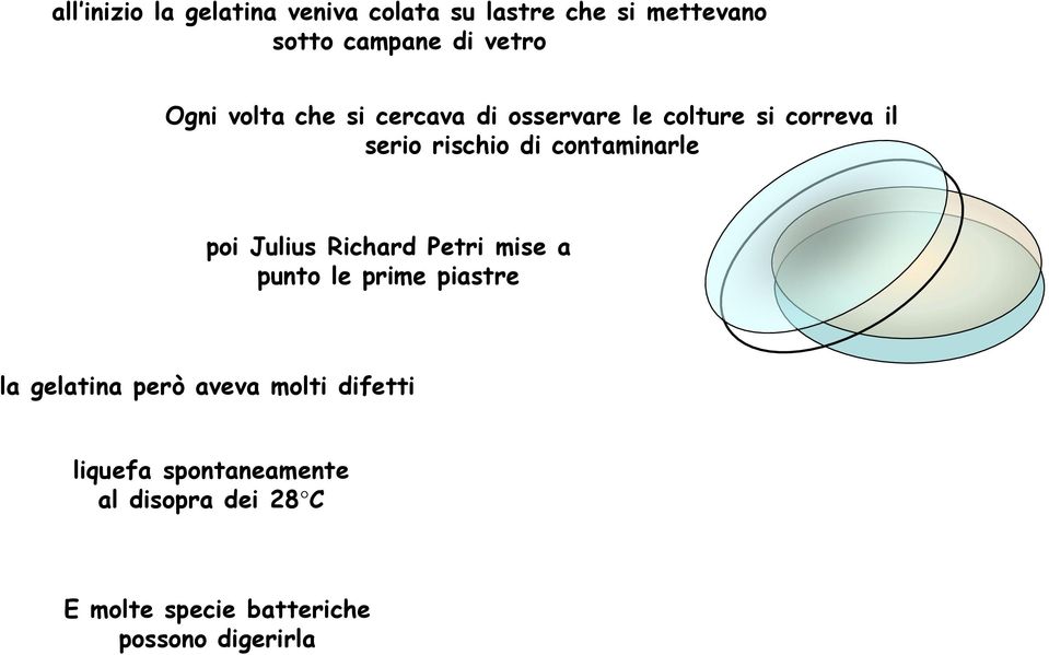 contaminarle poi Julius Richard Petri mise a punto le prime piastre la gelatina però