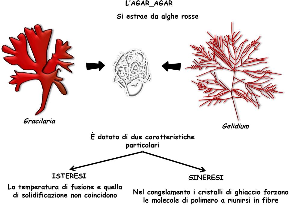 fusione e quella di solidificazione non coincidono SINERESI Nel