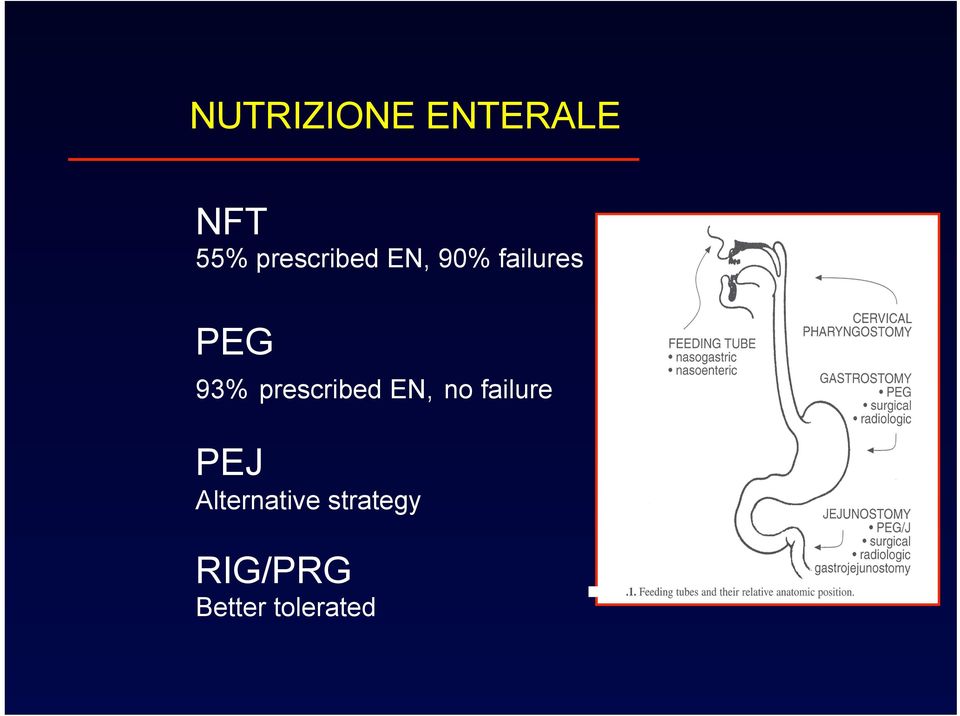 93% prescribed EN, no failure PEJ