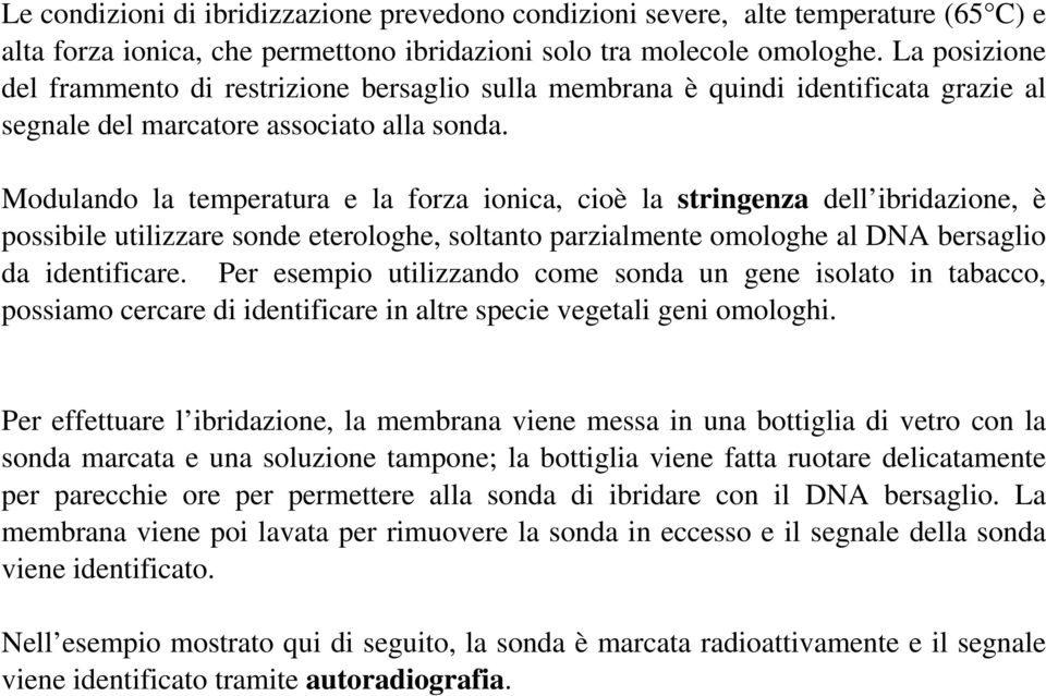 Modulando la temperatura e la forza ionica, cioè la stringenza dell ibridazione, è possibile utilizzare sonde eterologhe, soltanto parzialmente omologhe al DNA bersaglio da identificare.