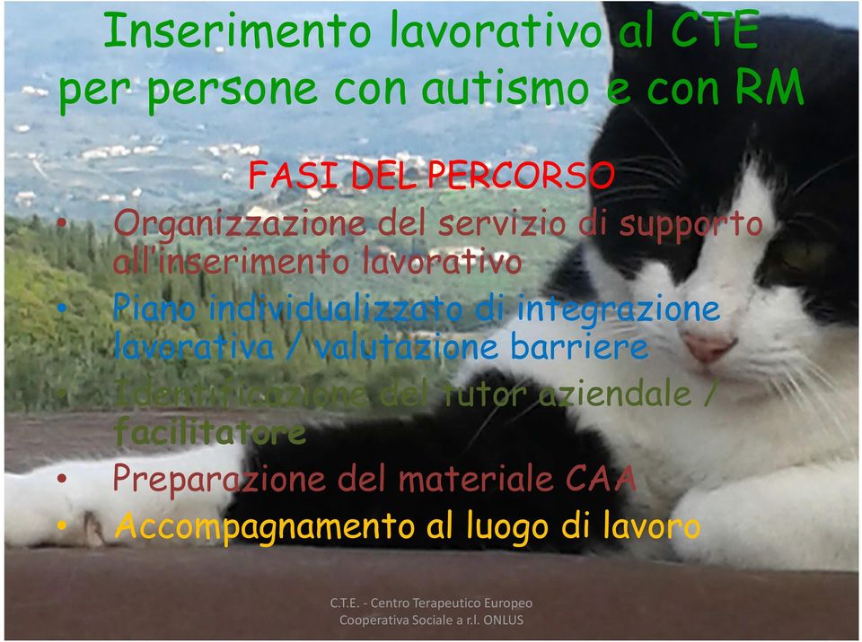 integrazione lavorativa / valutazione barriere Identificazione del tutor aziendale /