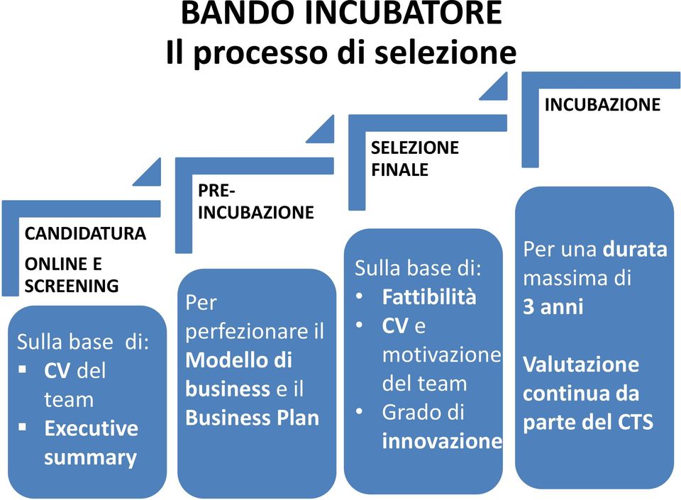 business e il Business Plan SELEZIONE FINALE Sulla base di: Fattibilità CV e motivazione