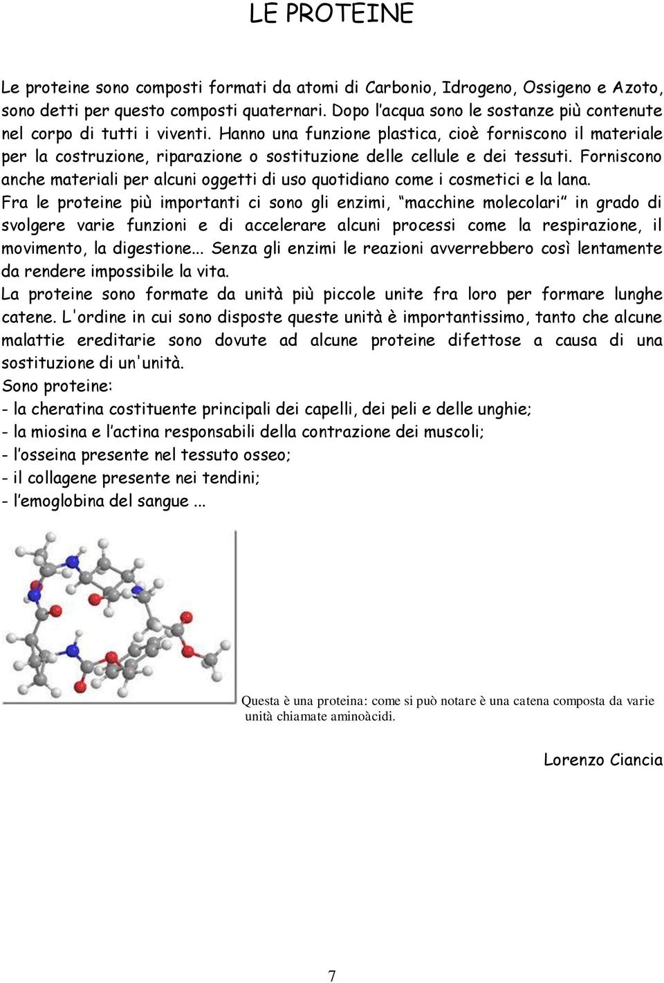 Hanno una funzione plastica, cioè forniscono il materiale per la costruzione, riparazione o sostituzione delle cellule e dei tessuti.