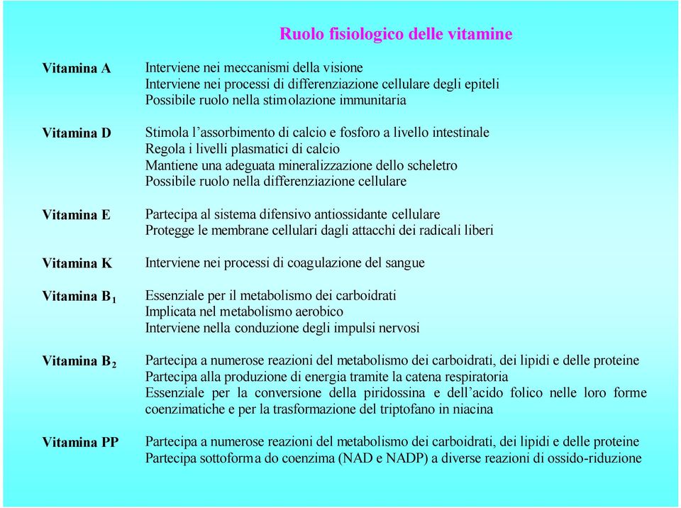 mineralizzazione dello scheletro Possibile ruolo nella differenziazione cellulare Partecipa al sistema difensivo antiossidante cellulare Protegge le membrane cellulari dagli attacchi dei radicali