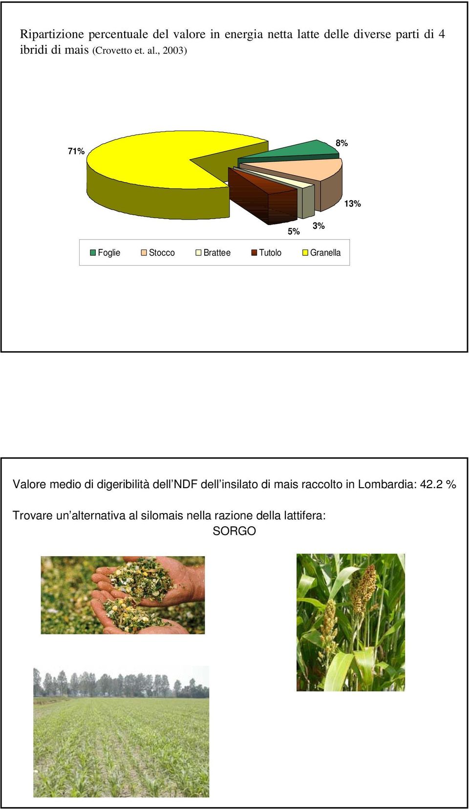 , 2003) 71% 8% 13% 5% 3% Foglie Stocco Brattee Tutolo Granella Valore medio di