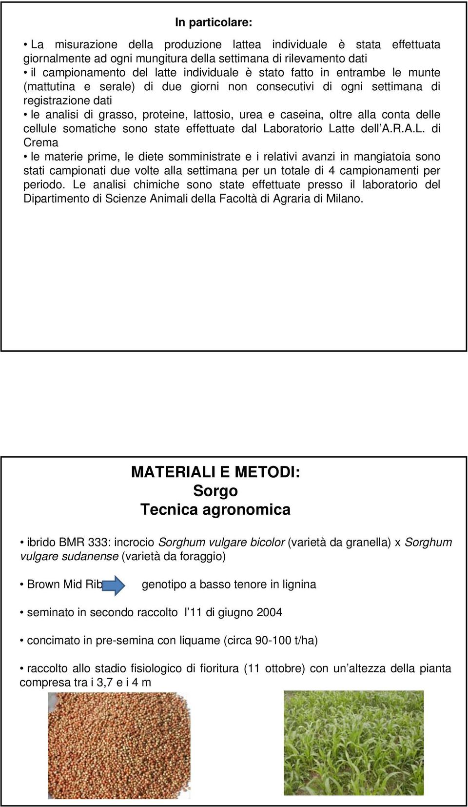 cellule somatiche sono state effettuate dal La