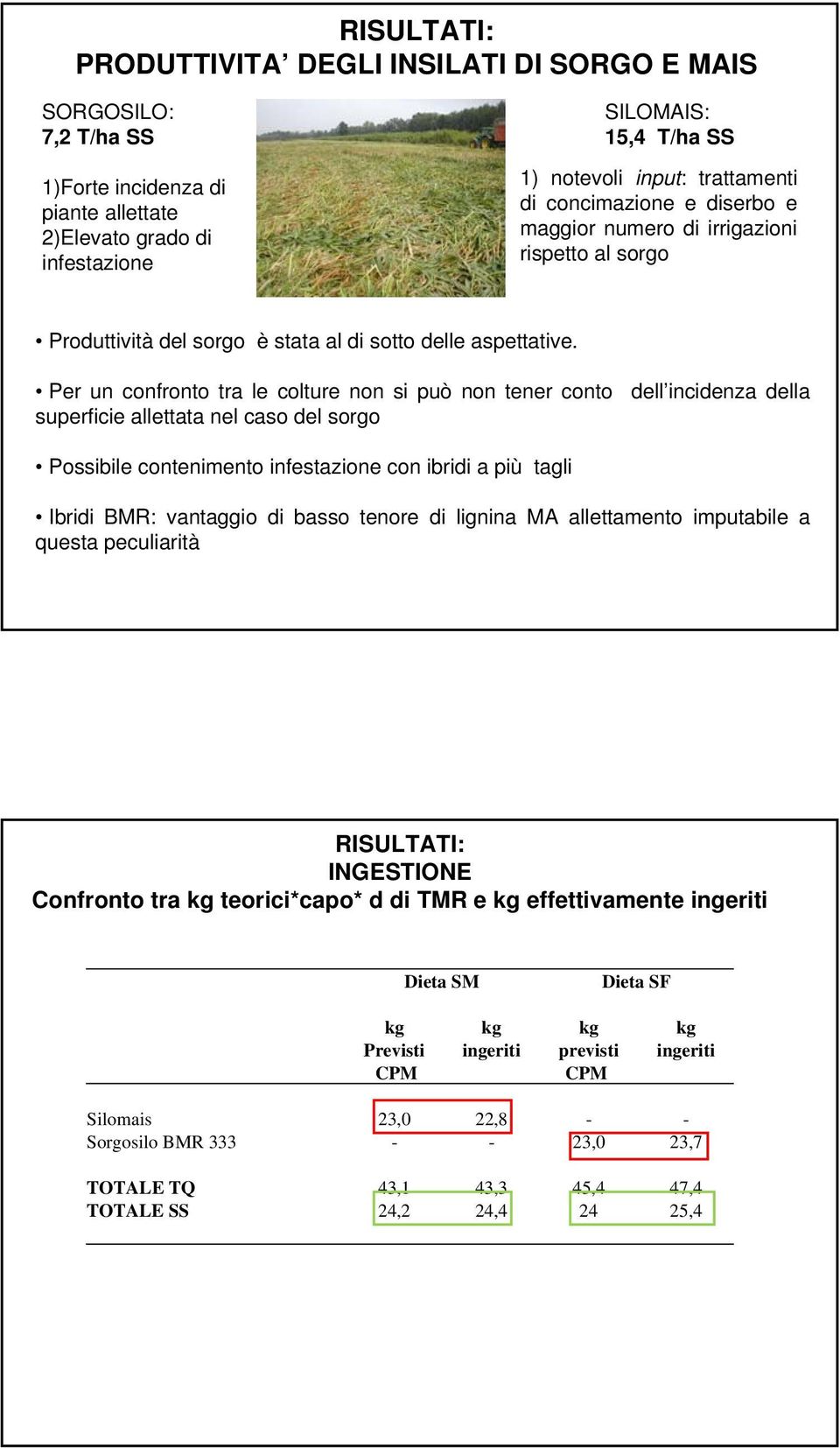 Per un confronto tra le colture non si può non tener conto dell incidenza della superficie allettata nel caso del sorgo Possibile contenimento infestazione con ibridi a più tagli Ibridi BMR: