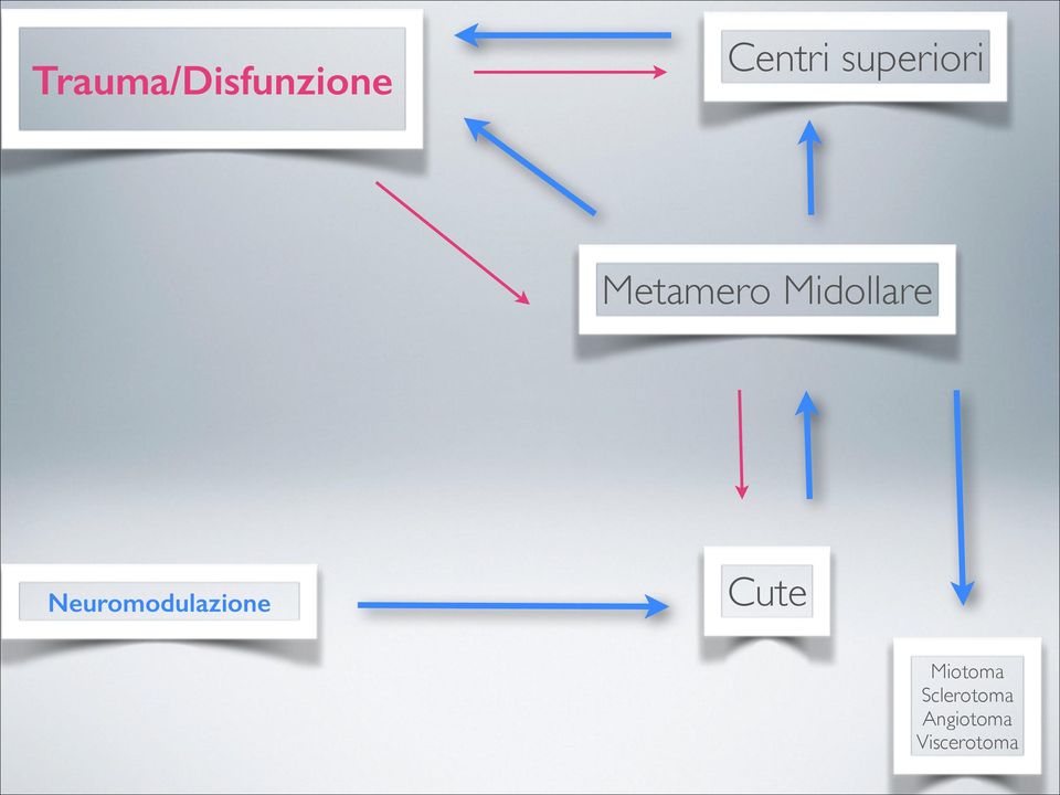 Neuromodulazione Cute Miotoma