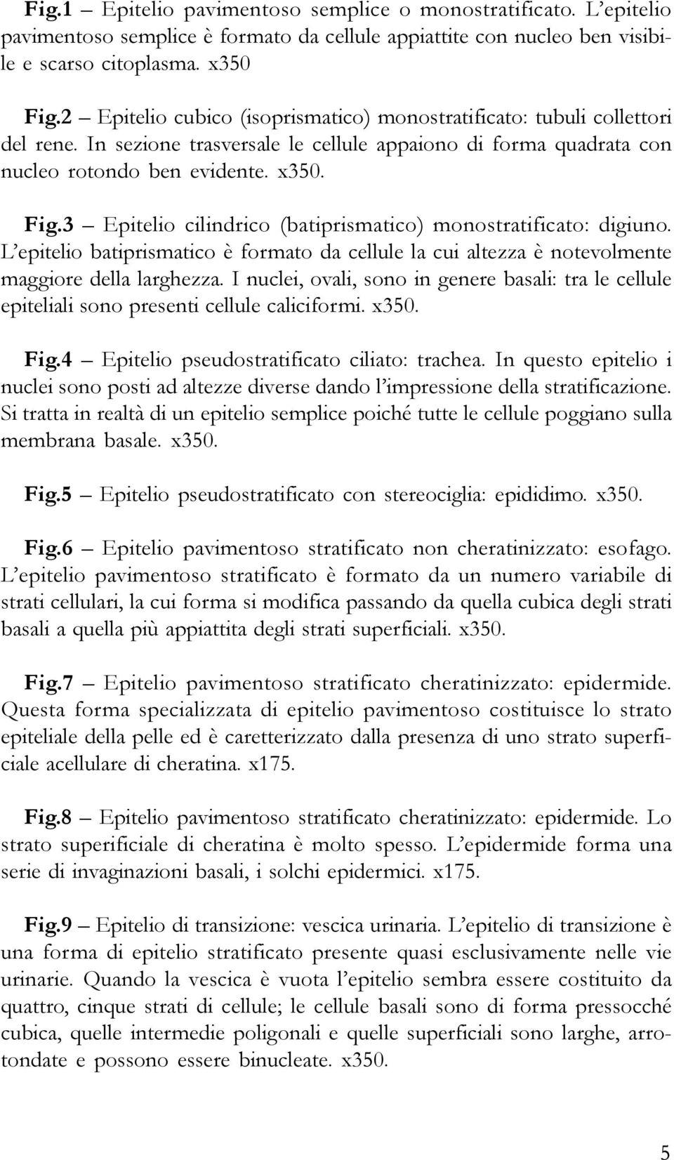 3 Epitelio cilindrico (batiprismatico) monostratificato: digiuno. L epitelio batiprismatico è formato da cellule la cui altezza è notevolmente maggiore della larghezza.